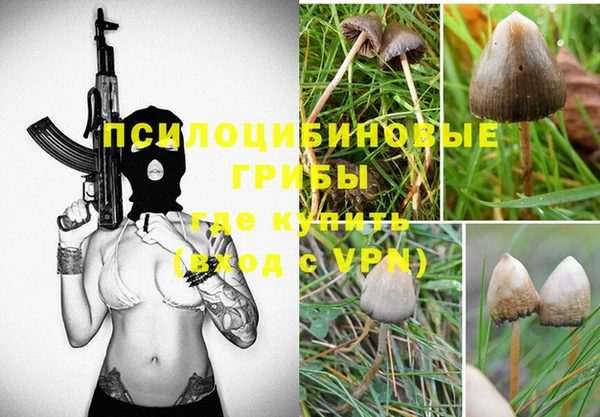 не бодяженный Заволжск