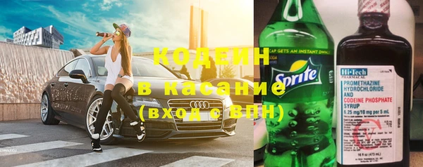 крисы Заводоуковск