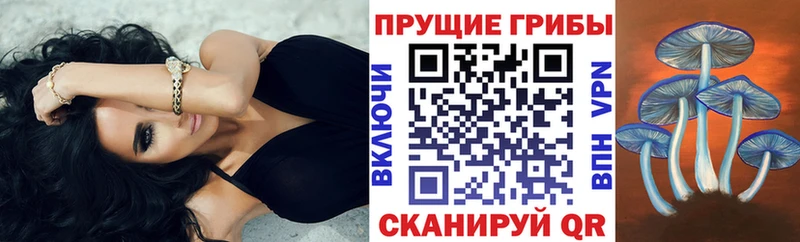 Купить закладки  Новоульяновск  Галлюциногенные грибы GOLDEN TEACHER 
