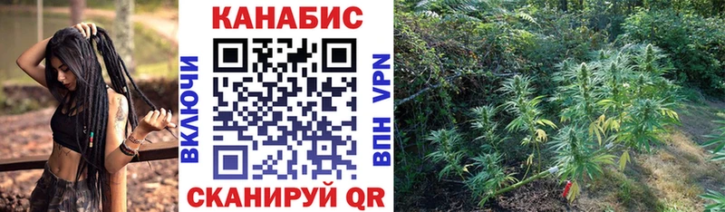 Бошки Шишки конопля Новоульяновск